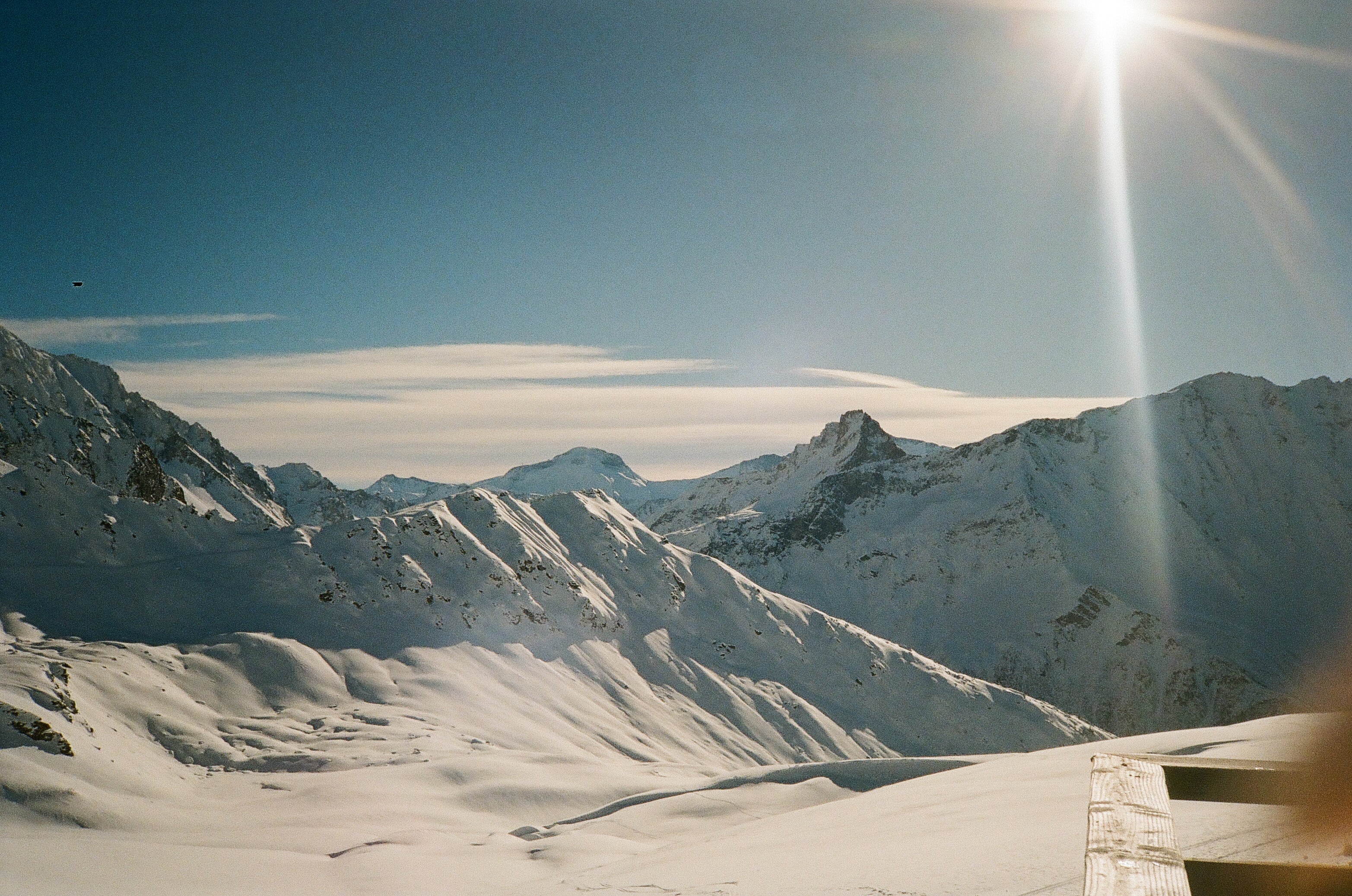 Getting enough vitamin D in a Southern Hemisphere winter (a herbalist's honest guide)