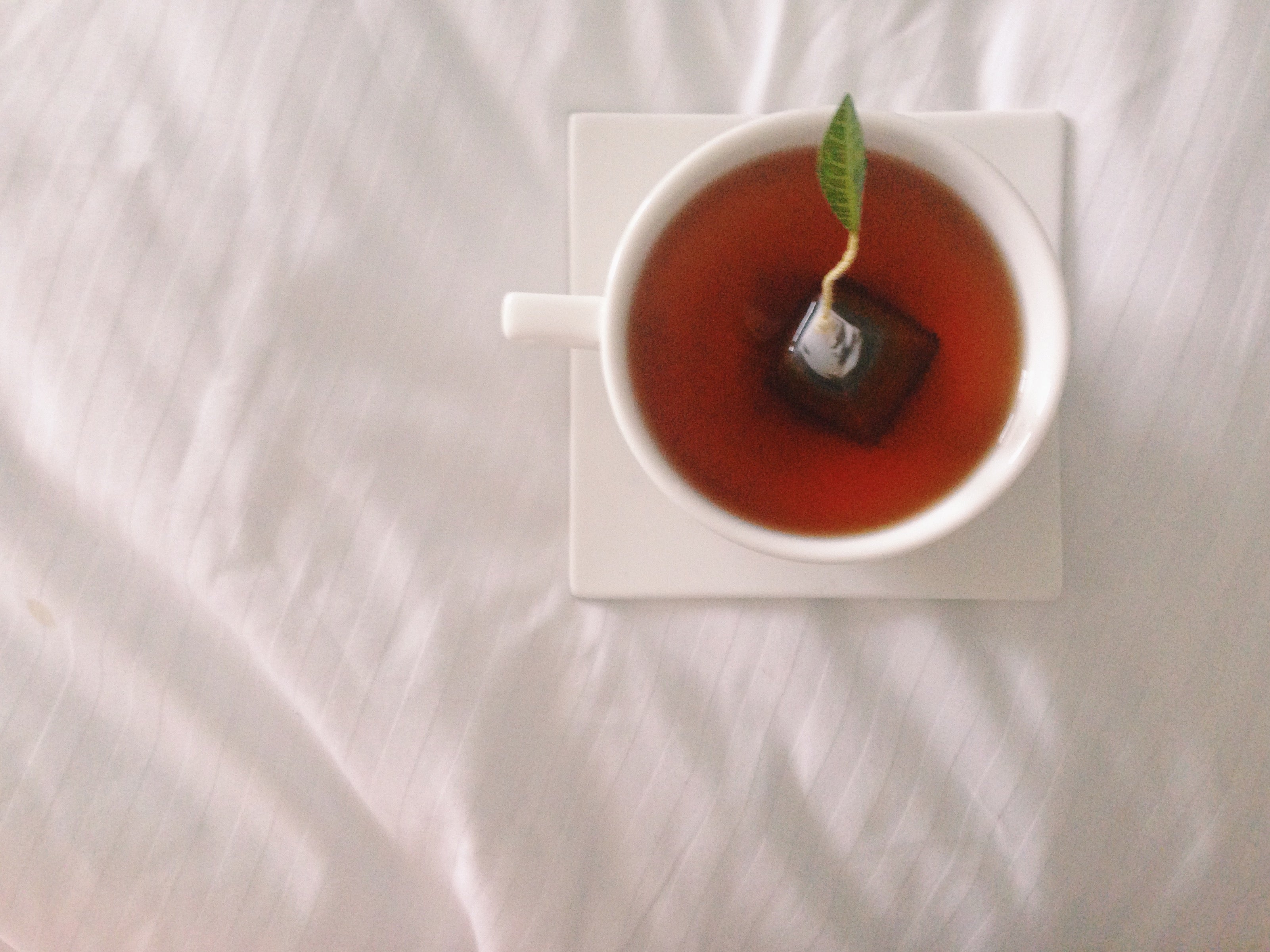 A herbalist's winter immunity protocol: what I actually do when the season turns