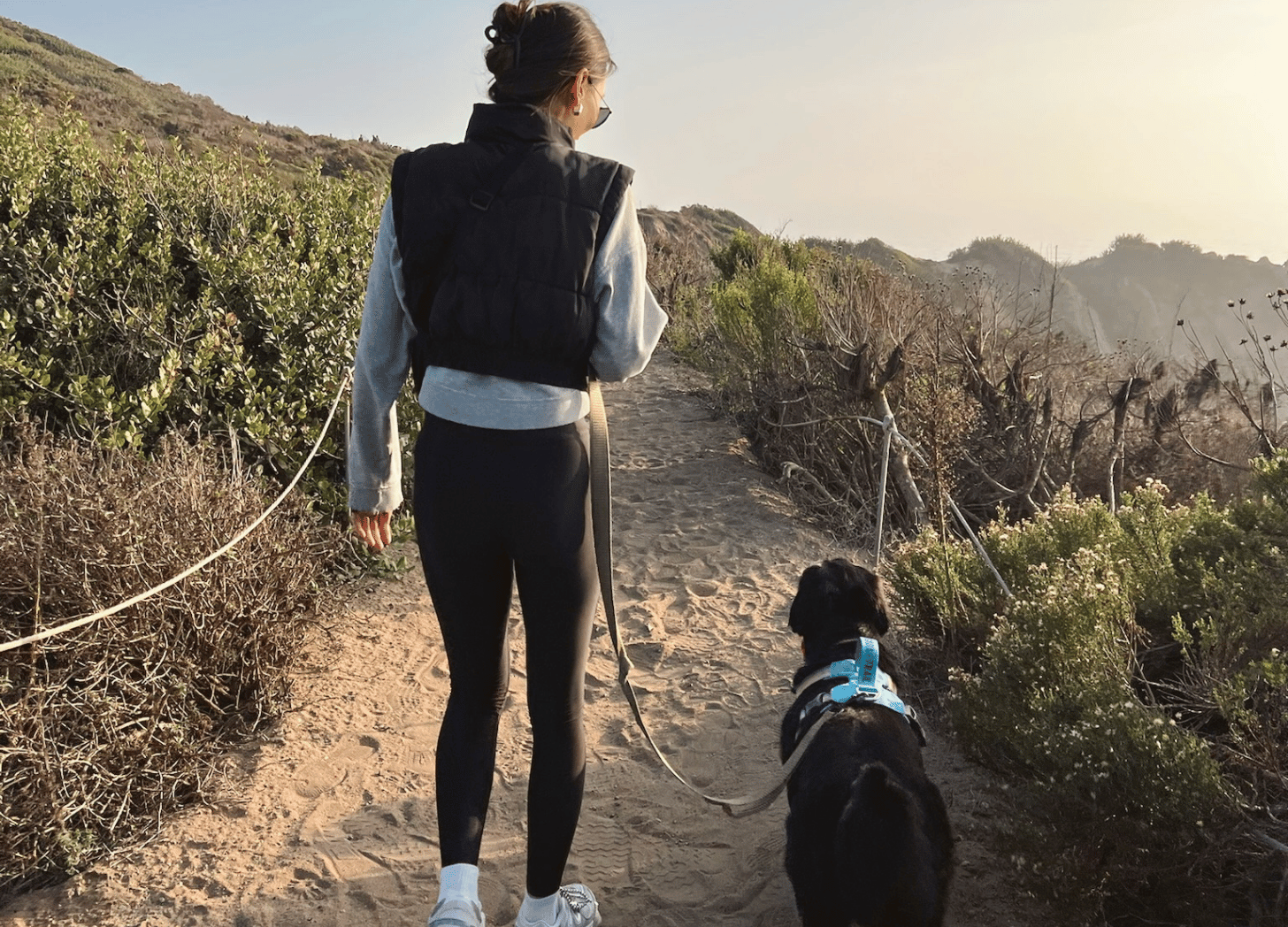 Where the wellness industry is going wrong