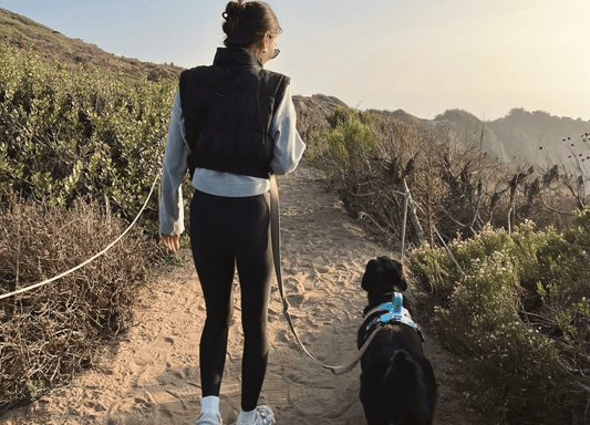 Where the wellness industry is going wrong